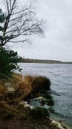 Calm lake with trees in background