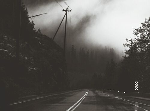 transportation, the way forward, tree, diminishing perspective, sky, road, vanishing point, weather, cloud - sky, road marking, fog, nature, tranquility, cloudy, country road, tranquil scene, mode of transport, empty, travel, forest