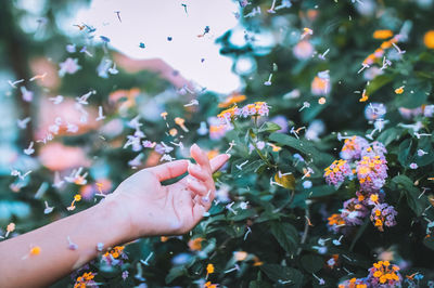 Cropped hand of woman touching plants