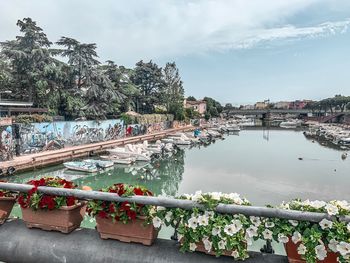 Scenic view of river against cloudy sky