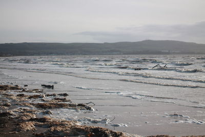 Scenic view of beach against sky