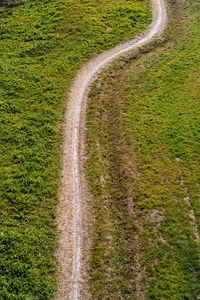 High angle view of road passing through field