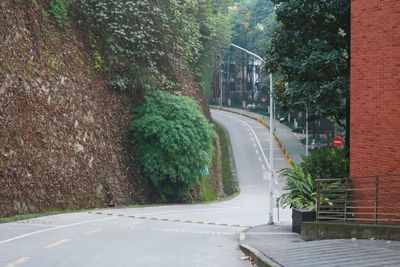 Road amidst trees in city