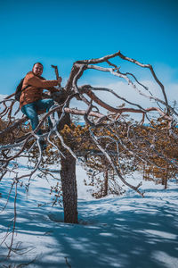 Man tree against blue sky during winter