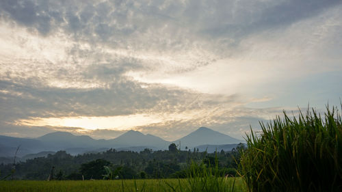 Scenic view of field against sky during sunset