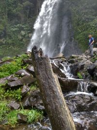 Waterfall in forest