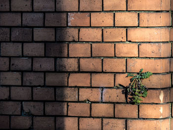 Full frame shot of brick wall