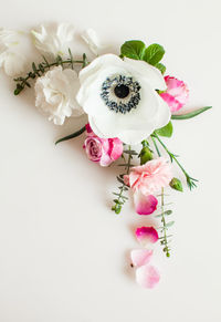 Close-up of pink roses against white background