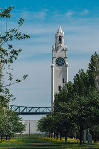 Clock tower amidst trees against sky