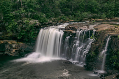 Scenic view of waterfall in forest