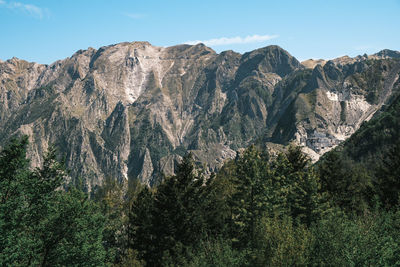 Panoramic view of trees and mountains against sky