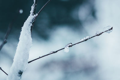 Close-up of frozen water against sky