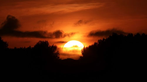 Silhouette of trees at sunset