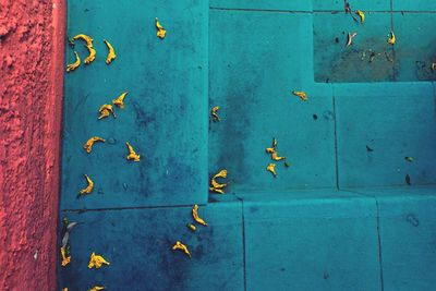 Full frame shot of blue metal door