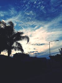 Silhouette trees against sky during sunset