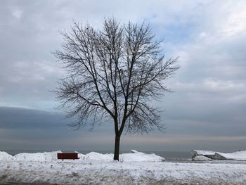 Bare tree on snow covered land against sky