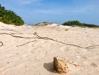 Close-up of sand on beach against sky