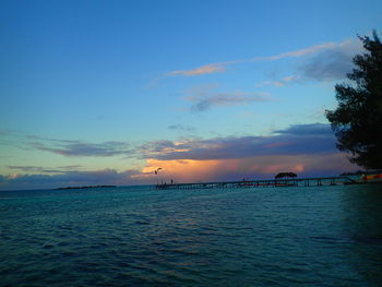 Scenic view of sea at sunset