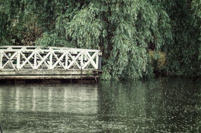 Scenic view of river by trees