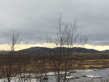 Bare trees on landscape against sky