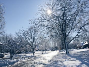 Bare trees on snow covered landscape