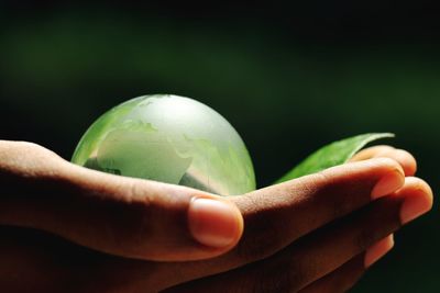 Close-up of human hand holding globe and leaf against black background
