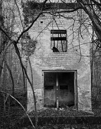 Abandoned house amidst trees in forest