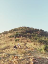 Scenic view of landscape against clear sky