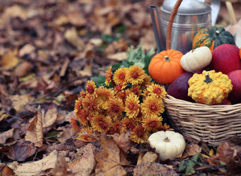 High angle view of dry leaves in basket