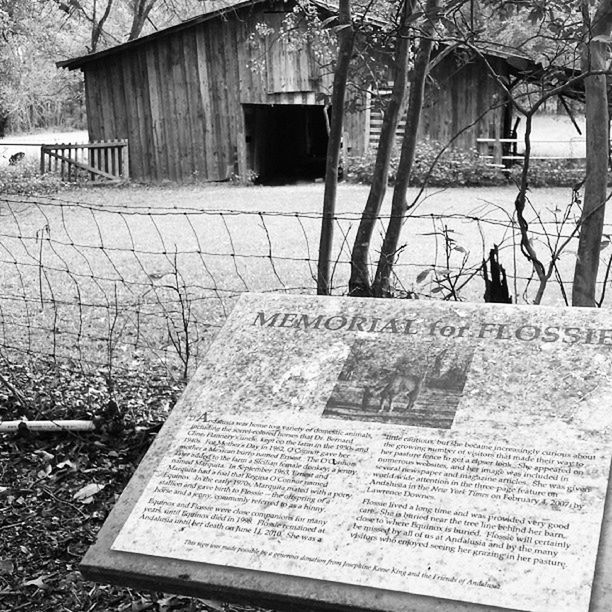 text, building exterior, western script, built structure, architecture, communication, tree, non-western script, outdoors, day, information, information sign, house, capital letter, no people, sign, wood - material, residential structure, old, plant