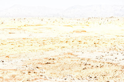 Full frame shot of sand on beach