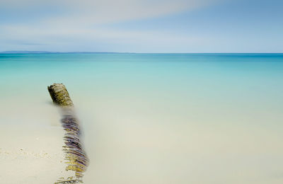 Scenic view of sea against clear sky