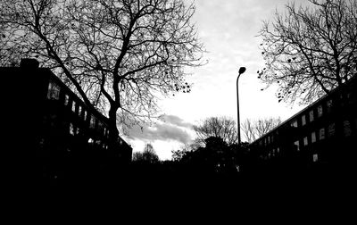 Low angle view of silhouette bare trees against sky