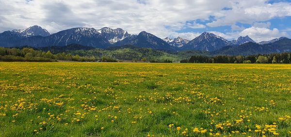 Scenic view of field against cloudy sky