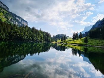 Scenic view of lake by trees against sky