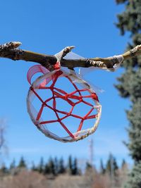 Low angle view of decoration hanging on tree against sky