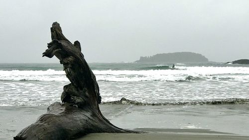 Driftwood on beach against clear sky