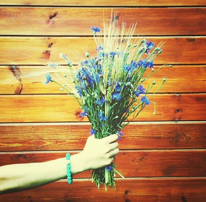 wood - material, wooden, wood, hardwood floor, plank, flower, indoors, high angle view, table, boardwalk, blue, wood paneling, flooring, wooden floor, directly above, floorboard, fragility, purple, multi colored, day