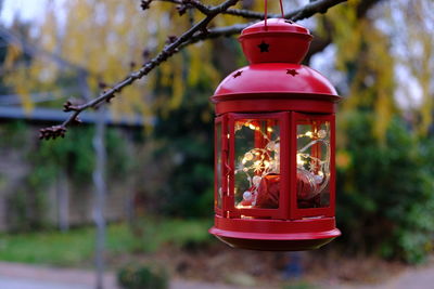 Close-up of red toy hanging on window