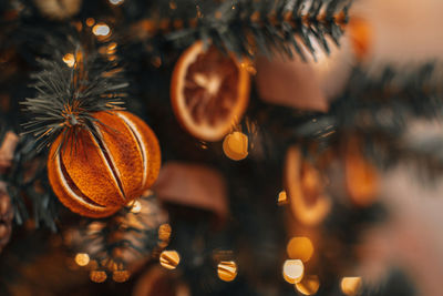 Winter holiday decorations. dried oranges, mandarins hanging on the christmas tree