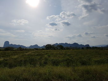 Scenic view of field against sky