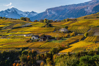 Scenic view of field and mountains against sky during autumn