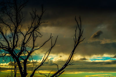 Silhouette bare tree against sky during sunset