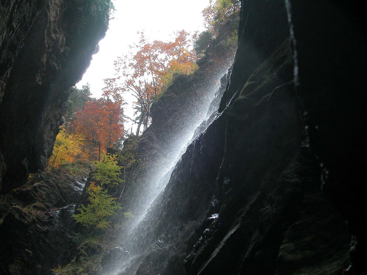 SCENIC VIEW OF WATERFALL AGAINST TREES