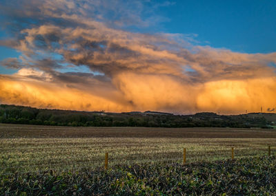 Scenic view of field against sky during sunset