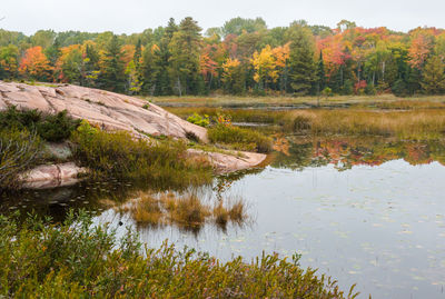 Scenic view of lake by trees against sky during autumn