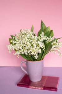 Close-up of potted plant on table