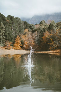 Scenic view of water flowing through rocks