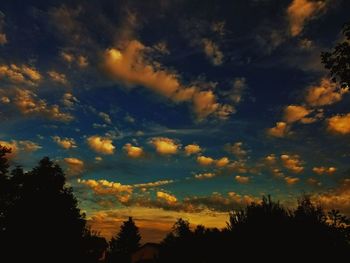 Low angle view of silhouette trees against sky during sunset