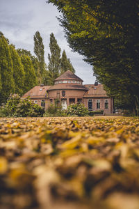 architecture
